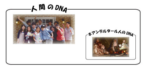 人間とネアンデルタール人のDNA