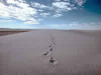 渇いてませんか　あなたの心？！