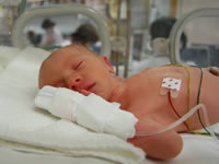 生きるってなんだろう？