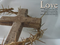 ここに愛がある