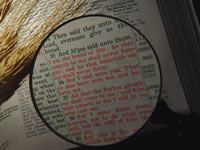 証拠[２] 500人以上の目撃者