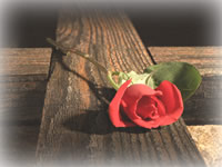 クリスマスプレゼント